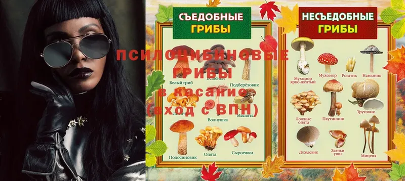 Псилоцибиновые грибы Magic Shrooms  даркнет сайт  Бабаево 